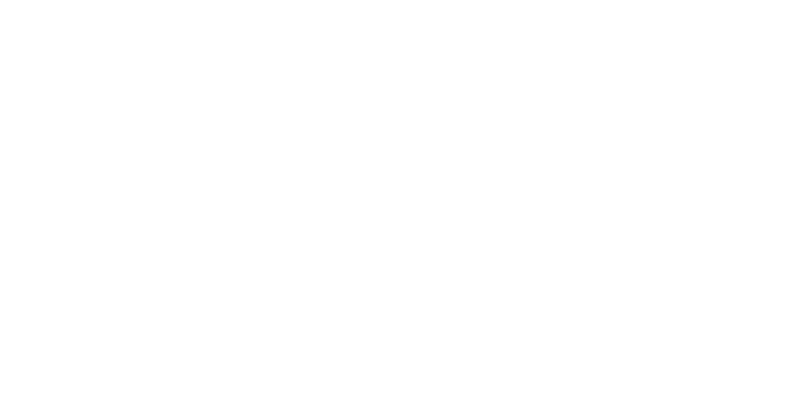 logo-mccain